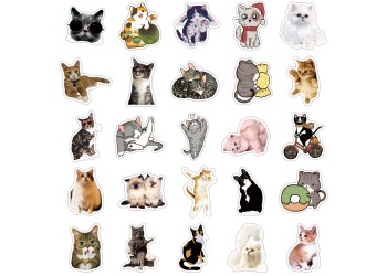 50 stuk kat cat Cartoon stickers voor kinderen en volwassenen Beloningsstickers Journal Laptop Telefoon Stickers